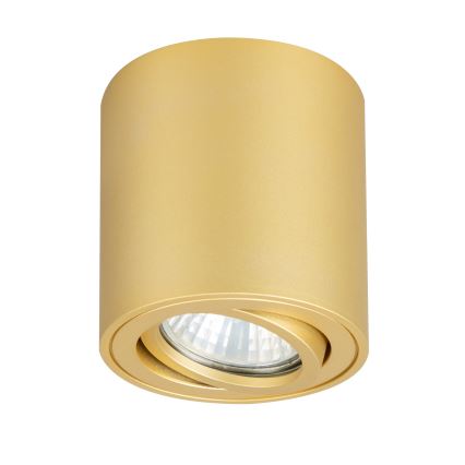 Brilagi - Spot LED RGBW à intensité variable MIA 1xGU10/4,8W/230V 3000K 84x80 mm doré + télécommande