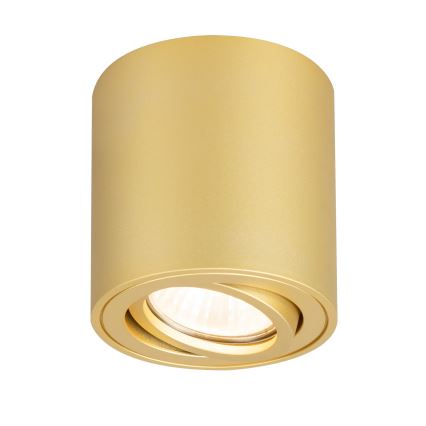 Brilagi - Spot LED RGBW à intensité variable MIA 1xGU10/6W/230V 3000K 84x80 mm doré + télécommande