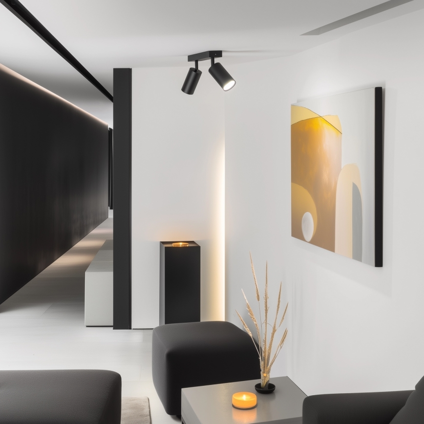 Brilagi - Spot LED RGBW dimmable SELE 2xGU10/4,8W/230V 3000K noir + télécommande