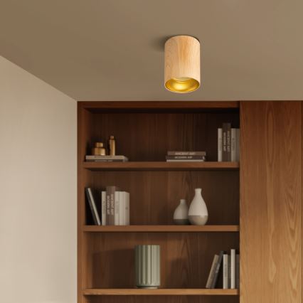 Brilagi - Spot LED RGBW dimmable TRINE 1xGU10/4,8W/230V 3000K finition chêne + télécommande