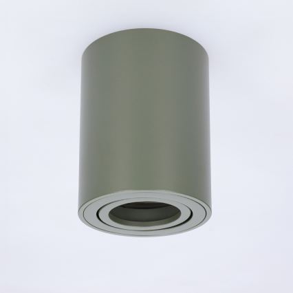 BRILAGI - Spot MIA 1xGU10/30W/230V 100x80 mm vert foncé