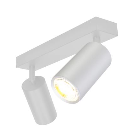 Brilagi - Spot salle de bain SELE 2xGU10/30W/230V IP44 argent