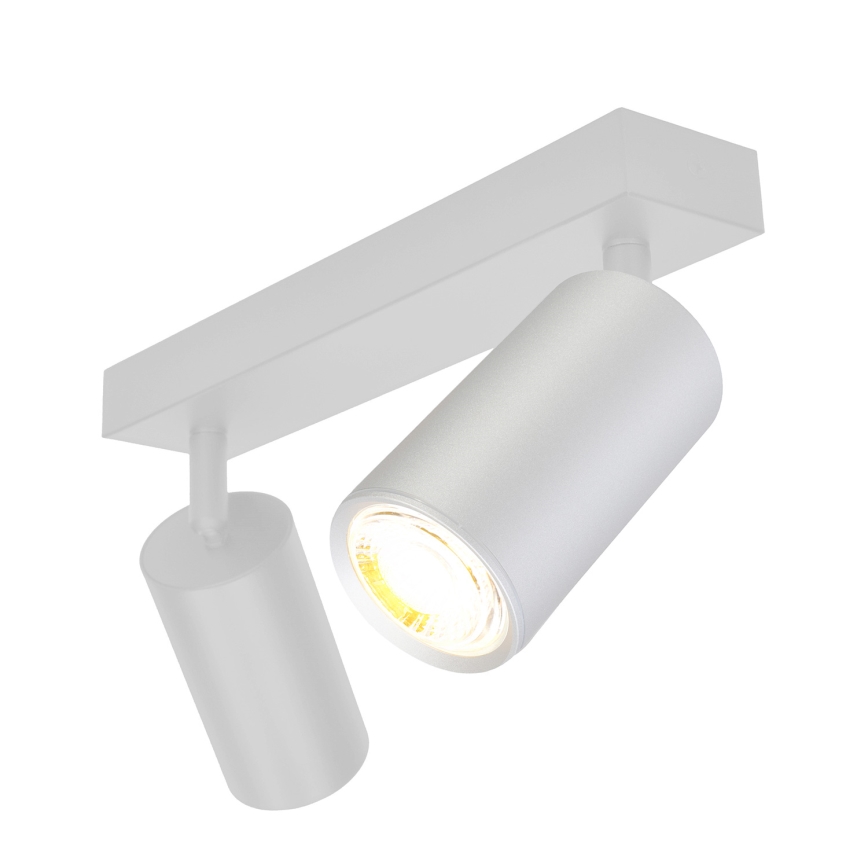 Brilagi - Spot salle de bain SELE 2xGU10/30W/230V IP44 argent