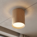 BRILAGI - Spot SMOOTH LONG 1xGX53/15W/230V 100x82 mm décor chêne