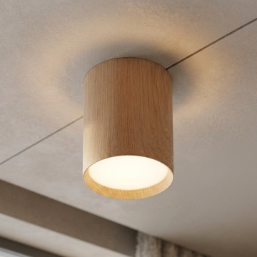 BRILAGI - Spot SMOOTH LONG 1xGX53/15W/230V 100x82 mm décor chêne