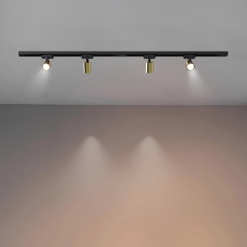 Brilagi - Spot sur rail HUSKY 4x GU10/10W/230V noir/doré