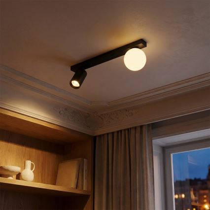 Brilagi - Spotleuchte SELE BALL 1xGU10/30W/230V + 1xG9/10W schwarz