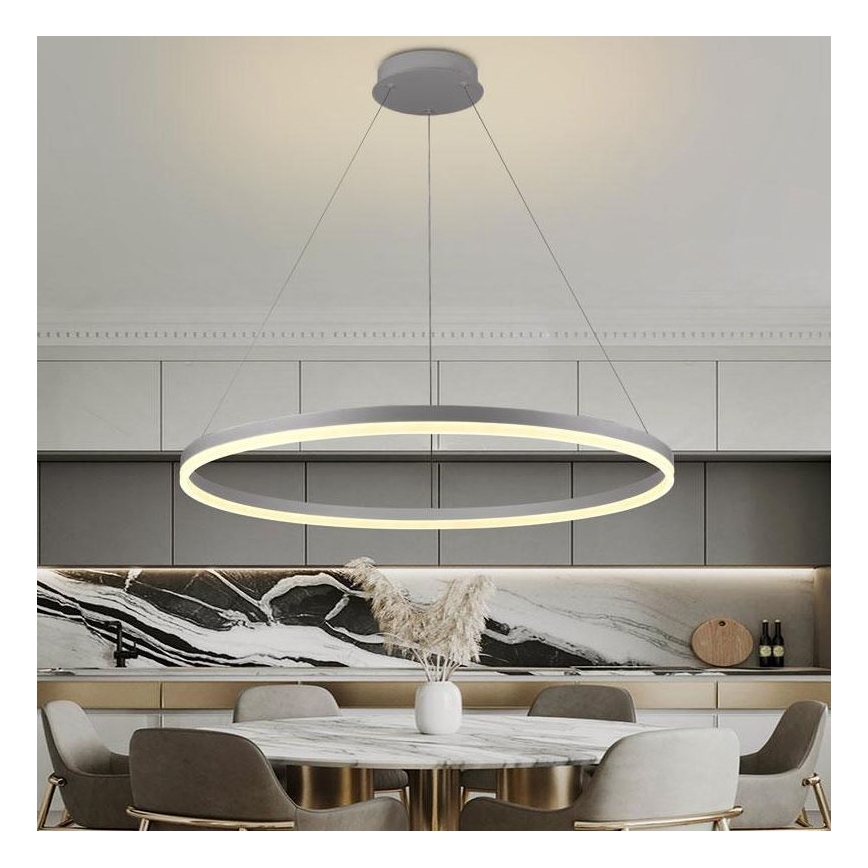 Brilagi - Suspension filaire à intensité variable CIRCLE LED/55W/230V 3000-6500K argent + télécommande