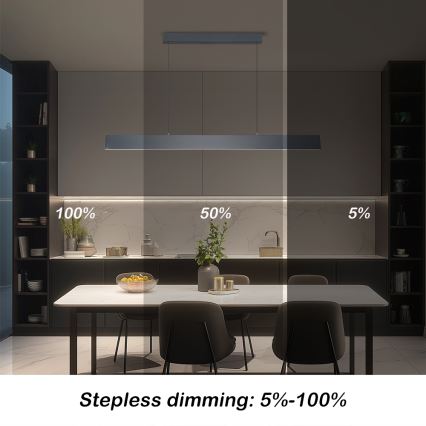 Brilagi - Suspension filaire à intensité variable SLIMLINE LED/40W/230V 3000-6000K anthracite + Télécommande