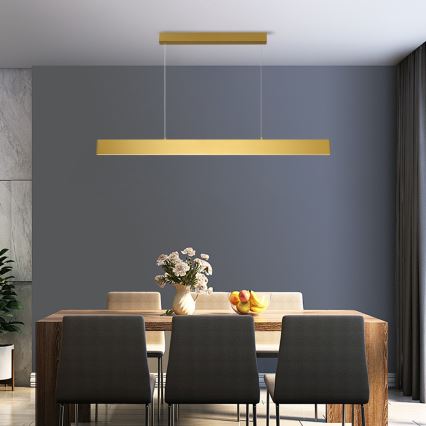 Brilagi - Suspension filaire à intensité variable SLIMLINE LED/40W/230V 3000-6000K doré + télécommande