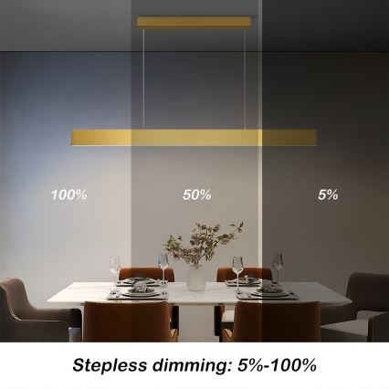 Brilagi - Suspension filaire à intensité variable SLIMLINE LED/40W/230V 3000-6000K doré + télécommande
