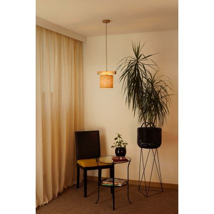 Brilagi - Suspension filaire FOREST 1xE27/15W/230V pin/marron