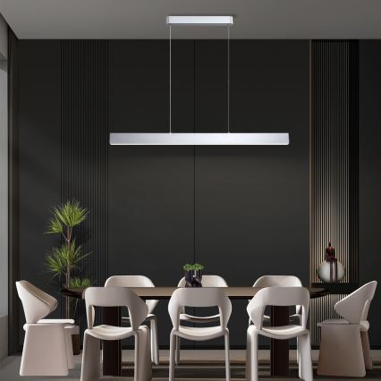 Brilagi - Suspension filaire SLEEKLINE LED/40W/230V 3000/4500/6000K argent