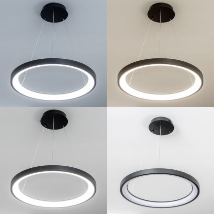 Brilagi - Suspension LED dimmable sur câble FALCON SLIM LED/42W/230V 3000-6500K Ø 50 cm noir + télécommande