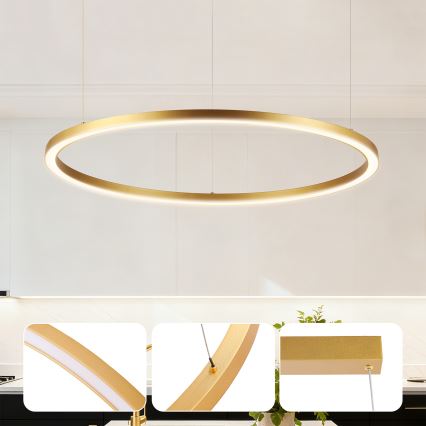 Brilagi - Lustre LED à intensité variable sur câble PORTOFINO LED/60W/230V 3000-6000K Ø 80 cm doré + télécommande