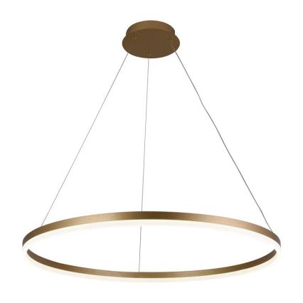 Brilagi - Suspension LED dimmable sur câble CIRCLE LED/55W/230V 3000-6500K Ø 80 cm dorée + télécommande