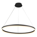Brilagi - Suspension LED dimmable sur câble CIRCLE LED/55W/230V 3000-6500K Ø 80 cm noire + télécommande