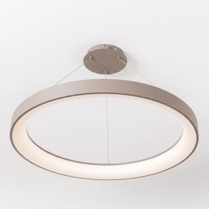BRILAGI - Lustre LED dimmable sur câble FALCON II LED/108W/230V 3000-6500K Ø 80 cm beige + télécommande