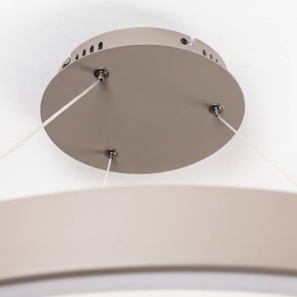 BRILAGI - Lustre LED dimmable sur câble FALCON II LED/108W/230V 3000-6500K Ø 80 cm beige + télécommande