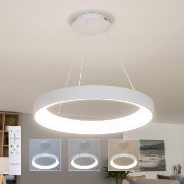 Brilagi - Suspension LED dimmable sur câble FALCON II LED/99W/230V 3000-6500K Ø 60 cm blanc + télécommande