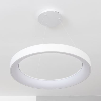 Brilagi - Suspension LED dimmable sur câble FALCON II LED/99W/230V 3000-6500K Ø 60 cm blanc + télécommande
