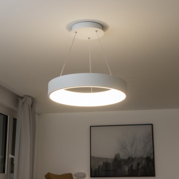 Brilagi - Suspension LED dimmable sur câble FALCON LED/40W/230V 3000-6500K Ø 45 cm blanche + télécommande