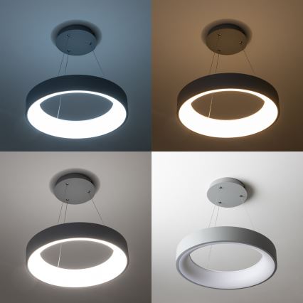 Brilagi - Suspension LED dimmable sur câble FALCON LED/80W/230V 3000-6500K Ø 60 cm gris + télécommande