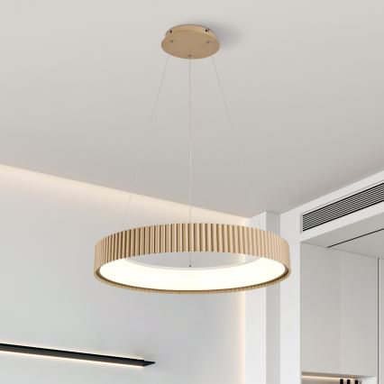 Brilagi - Suspension LED dimmable sur câble FALCON MODERN LED/54W/230V 3000-6500K Ø 60 cm beige + télécommande