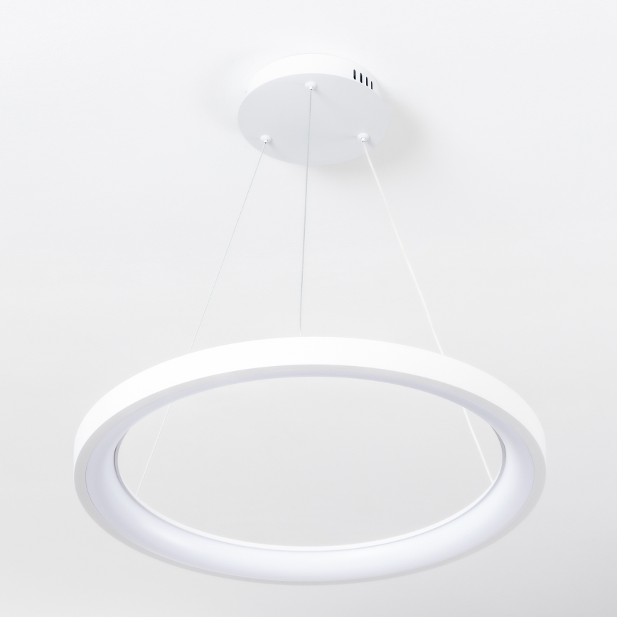 Brilagi - suspension LED dimmable sur câble FALCON SLIM LED/42W/230V 3000-6500K Ø 50 cm blanc + télécommande