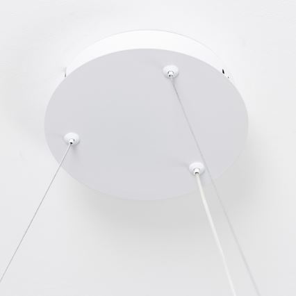 Brilagi - suspension LED dimmable sur câble FALCON SLIM LED/42W/230V 3000-6500K Ø 50 cm blanc + télécommande