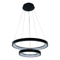 Brilagi - Suspension LED dimmable sur câble FALCON SLIM LED/68 W/230 V 3000–6500 K Ø 50 cm noire + télécommande