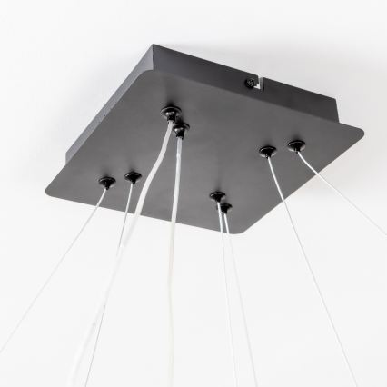 Brilagi - Suspension LED dimmable sur câble FALCON SLIM LED/78W/230V 3000-6500K 50x50 cm noire + télécommande