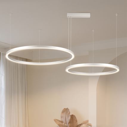 Brilagi - Suspension LED dimmable sur câble PORTOFINO LED/98W/230V 3000-6000K argenté + télécommande