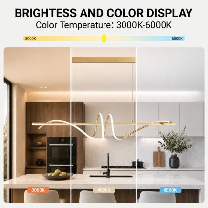 BRILAGI - Suspension LED dimmable sur câble SIGNATURE LED/50W/230V 3000-6000K 120 cm dorée + télécommande