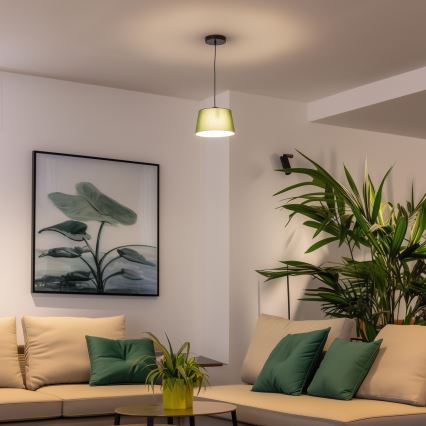 Brilagi - Suspension LED sur câble CERIA 1xE27/40W/230V Ø 25 cm vert