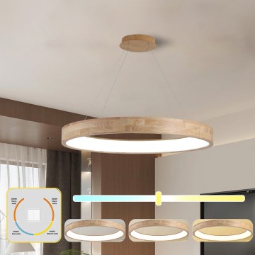 Brilagi - suspension LED sur câble FALCON WOOD LED/60W/230V 3000/4000/6000K Ø 80 cm bois