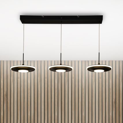 Brilagi - suspension LED sur câble VERANO 3xLED/15W/230V