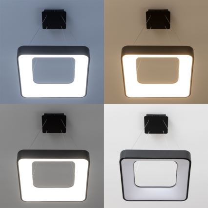 Brilagi - Suspension à câble dimmable FALCON II LED/80W/230V 3000-6500K 40x40 cm noire + télécommande