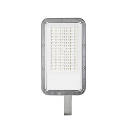 Brilagi - LED-Straßenleuchte für den Außenbereich mit Gelenk URBANLIGHT LED/50W/230V grau IP65