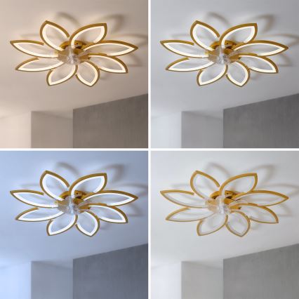 Brilagi - Ventilateur de plafond LED dimmable 43W/230V Ø 90 cm, doré + télécommande