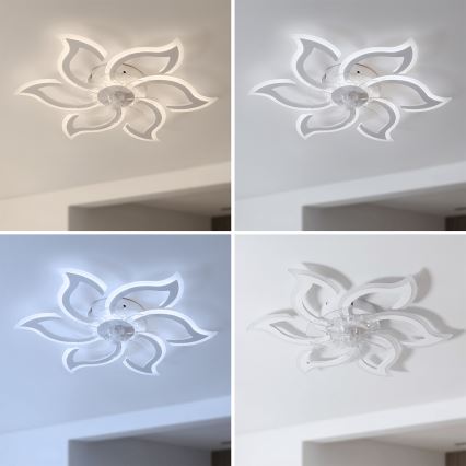 Brilagi - Ventilatore da soffitto dimmerabile a LED/34W/230V 3000-6500K Ø 83 cm bianco + telecomando