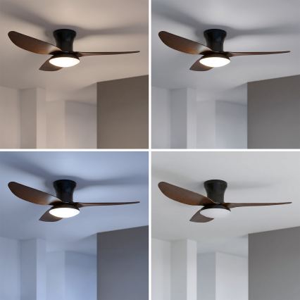 Brilagi - Ventilatore da soffitto dimmerabile con luce a LED, 38 W, 230 V, 3000–6500 K, Ø 100 cm, nero/marrone + telecomando