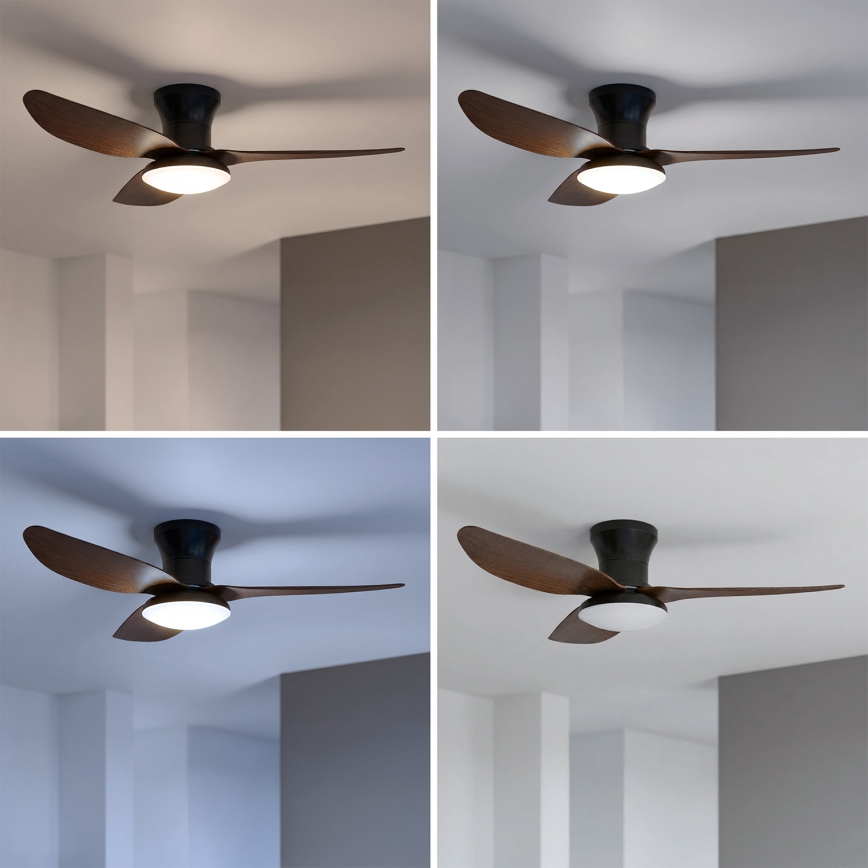 Brilagi - Ventilatore da soffitto dimmerabile con luce a LED, 38 W, 230 V, 3000–6500 K, Ø 100 cm, nero/marrone + telecomando