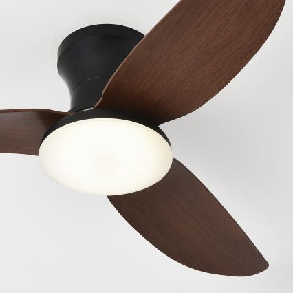Brilagi - Ventilatore da soffitto dimmerabile con luce a LED, 38 W, 230 V, 3000–6500 K, Ø 100 cm, nero/marrone + telecomando