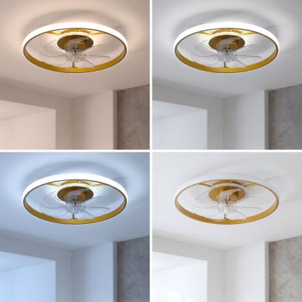Brilagi - Ventilatore da soffitto LED dimmerabile LED/66W/230V 3000-6500K Ø 55 cm bianco/oro + telecomando