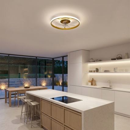 Brilagi - Ventilatore da soffitto LED dimmerabile LED/66W/230V 3000-6500K Ø 55 cm bianco/oro + telecomando
