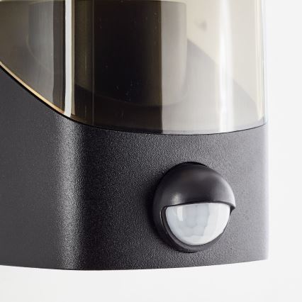 Brilliant - Applique da esterno con sensore MINOU 1xE27/10W/230V IP44 nero/fumé