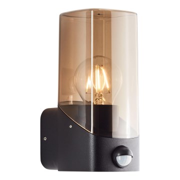 Brilliant - Applique da esterno con sensore MINOU 1xE27/10W/230V IP44 nero/fumé