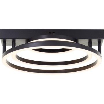 Brilliant - Dimmbare LED-Deckenleuchte PEDLEY LED/36W/230V schwarz