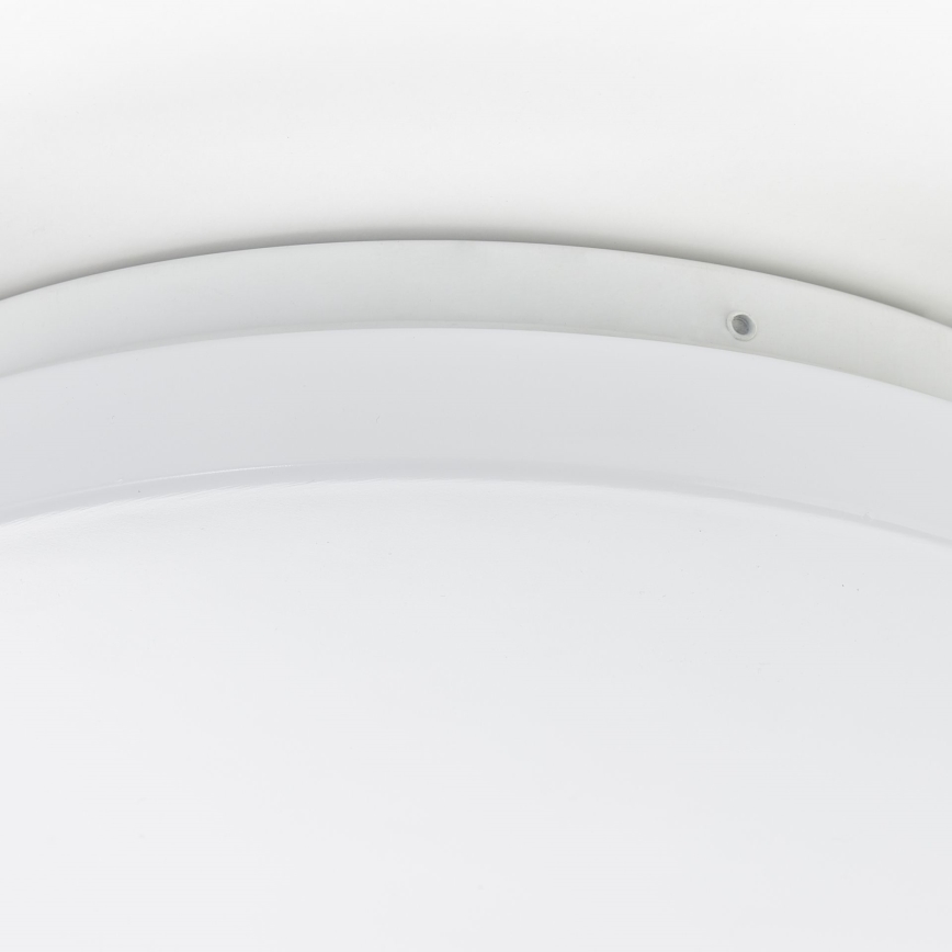 Brilliant - Lampada da soffitto a LED FARICA LED/12W/230V Ø 26 cm bianca